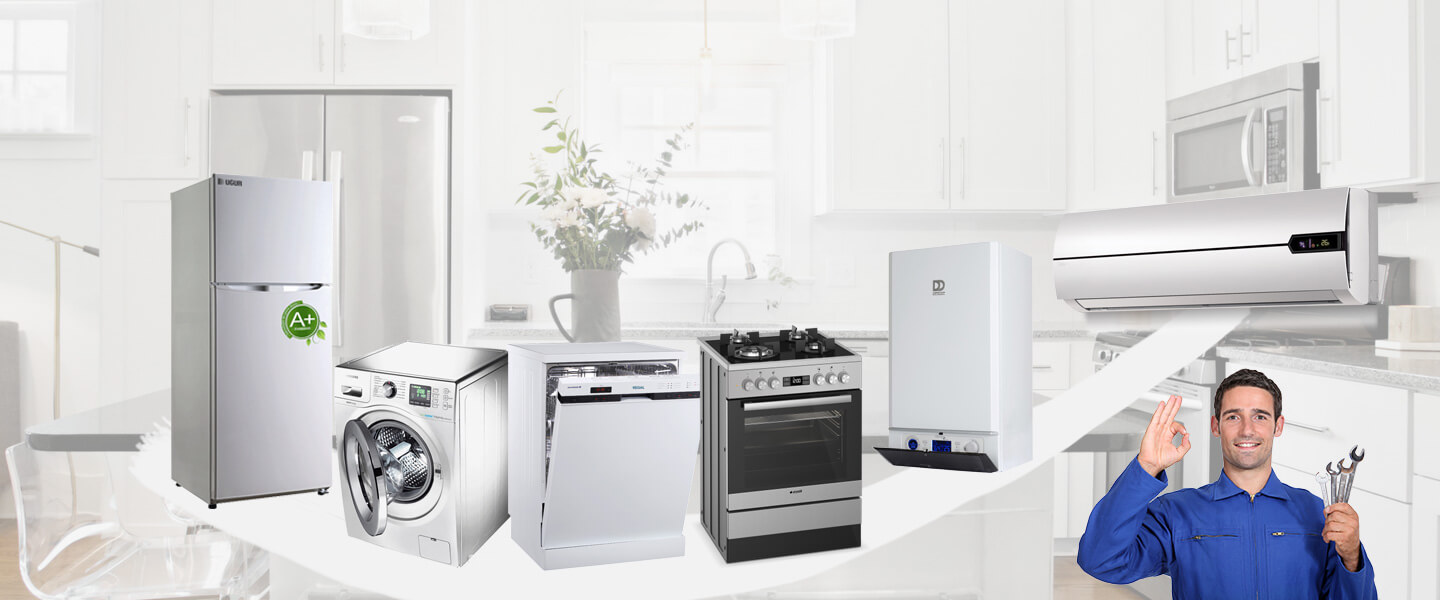 Örnekköy Electrolux Servisi